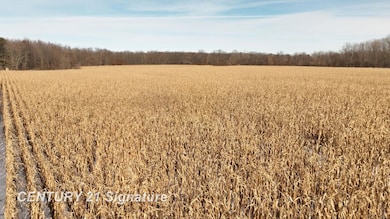 00 VL W Dodge Rd, Clio, MI 48420 - photo 4