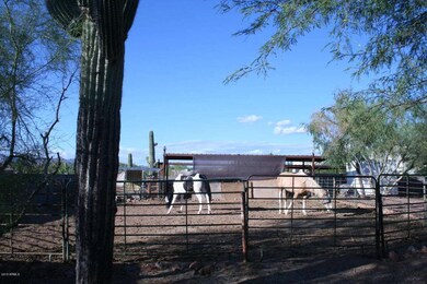Homes in Apache Junction with Horse Priv
