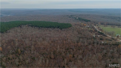 31802 Missouri 17, Laquey, MO 65534 - photo 4