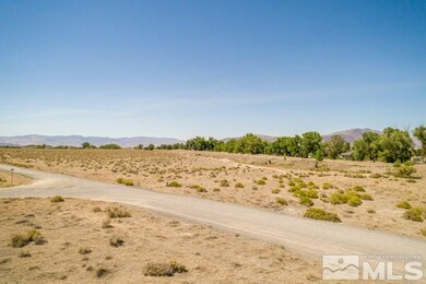 4505 Farm District Rd, Fernley, NV 89408 - photo 4