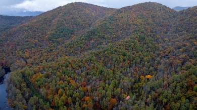 3549P Snowbird Rd, Robbinsville, NC 28771 - photo 5