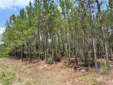 0 (Lot 6) Corbitt Rd, Manor, GA 31550 - photo 4