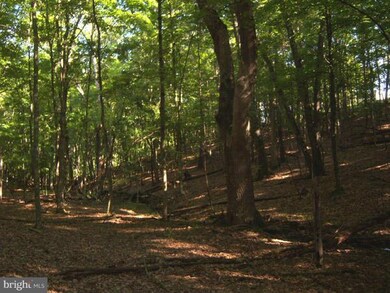 0 Magnolia Rd unit 1001180023, Great Cacapon, WV 25422 - photo 5