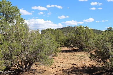 10 3044, Concho, AZ 85924 - photo 3