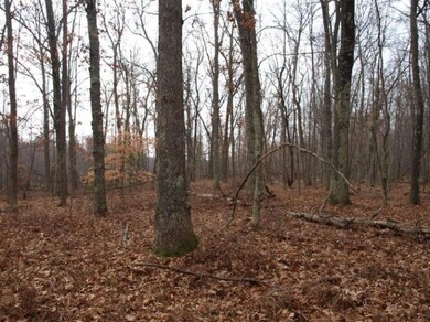 0 N Centerline Rd unit 13065638, White Cloud, MI 49349 - photo 4