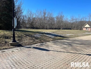 230 12th Ave, Moline, IL 61265 - photo 2