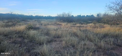 1.25 Acres E Emma Lane (Lot 2) Ln, Hereford, AZ 85615 - photo 3