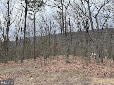 9.50 AC Bird Ridge Rd, Springfield, WV 26763 - photo 3