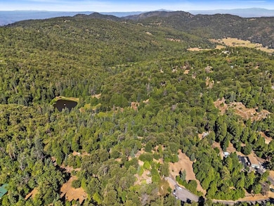22520 Greenfield Way, Palomar Mountain, CA 92060 - photo 4