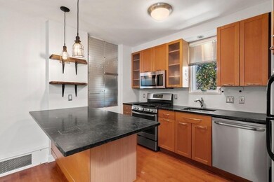 33 E Springfield St unit 3, Boston, MA 02118 - photo 6