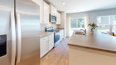 Kitchen Full of Natural Light