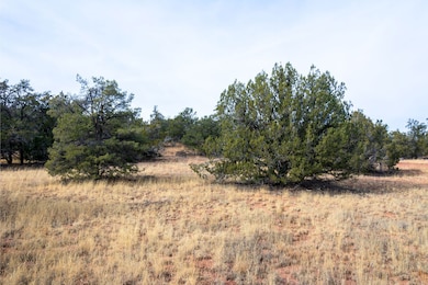 Loba Ln, Seligman, AZ 86322 - photo 5