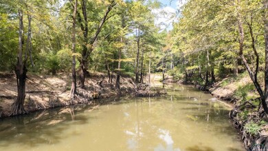 000 S Alley St unit Big Cypress River, Jefferson, TX 75657 - photo 7