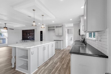 unlisted-address, Alba, TX 75410 - photo 5