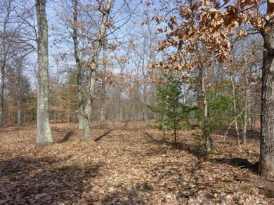 10738 N Beaver Trail, Bitely, MI 49309 - photo 2