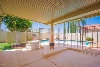 Backyard 1