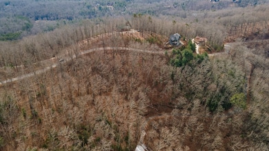 Lot 7 Ada Ridge Rd, Mineral Bluff, GA 30559 - photo 2