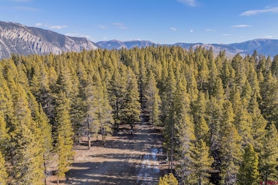 980 Saddle Ridge Rd, Crested Butte, CO 81224 - photo 3