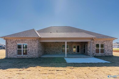 175 Pike Parvin Rd, Meridianville, AL 35759 - photo 5