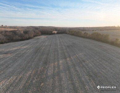 290th Street, College Springs, IA 51637 - photo 3