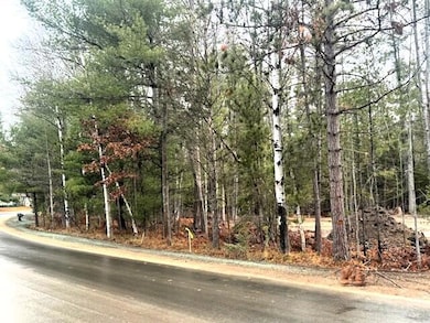 V/L L71-75 Evergreen Dr, Grayling Township, MI 49738 - photo 5