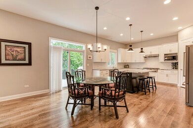 923 Rose Ln, Naperville, IL 60540 - photo 6