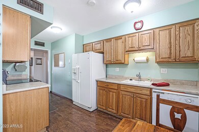 17427 N Cottonwood Dr, Sun City, AZ 85373 - photo 3