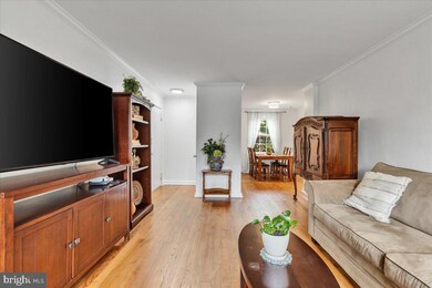 3537 S Stafford St unit A2, Arlington, VA 22206 - photo 3