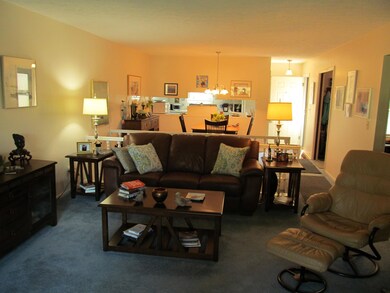 Living room and dining area