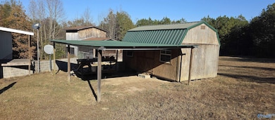 3250 County Road 59, Piedmont, AL 36272 - photo 4