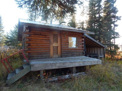 Guest Cabin/Work Shed