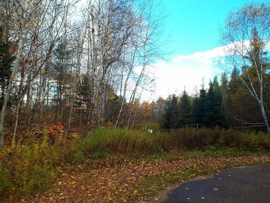 8 Acres Duck Ln, Deerbrook, WI 54424 - photo 3