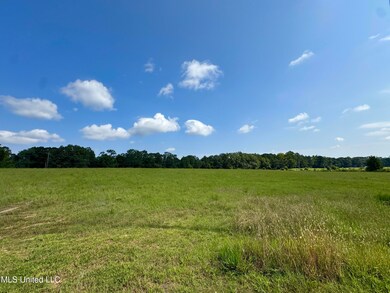 R10 Old Highway 16, Benton, MS 39039 - photo 4