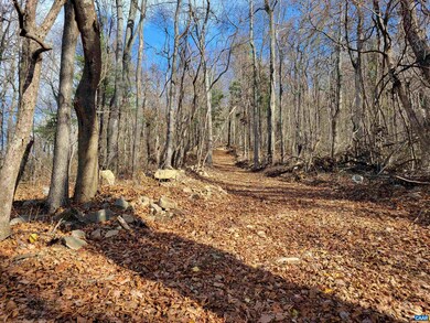 TBD Cc Rd, Madison, VA 22727 - photo 5