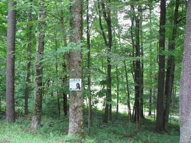 178 Phillip Place unit 17, Daniels, WV 25832 - photo 3