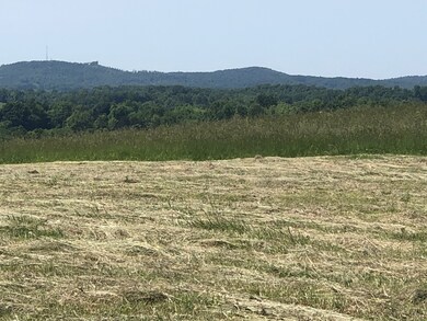 60C Walleye Rd, Hilham, TN 38551 - photo 6