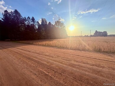 00 Raucholz Rd, Brant Township, MI 48616 - photo 4