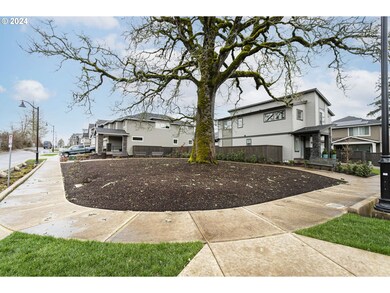 Community Park