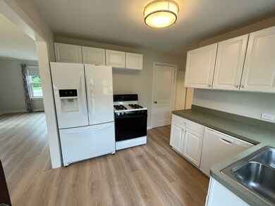 977 S Spring Rd, Elmhurst, IL 60126 - photo 4