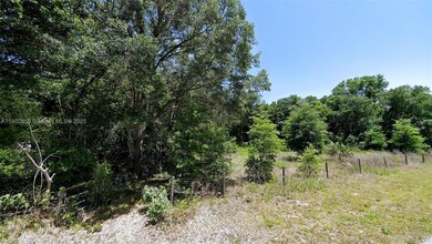 undetermined SW 200th Ct, Dunnellon, FL 34431 - photo 6