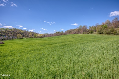 Tbd Wallace Pike, Bristol, VA 24202 - photo 7