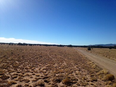 10 Off of Tanner Rd, Ash Fork, AZ 86320 - photo 5