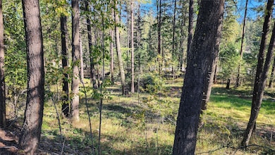 1505 Kootenai River Rd, Libby, MT 59923 - photo 3