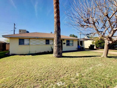 Front Yard 3