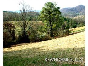 000 Watsell Dr unit 21, Leicester, NC 28748 - photo 4