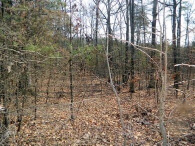 0 Stewart Ln unit 1261078, Rising Fawn, GA 30738 - photo 2