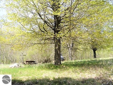 3413 Pine St, Hale, MI 48739 - photo 7