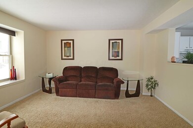 IMG_7002_edited-1
