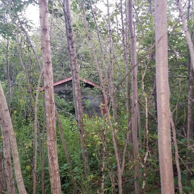 524 Millvale Rd, Bucksport, ME 04416 - photo 2