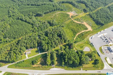 0 Highway 46 unit 1.9 21430374, Heflin, AL 36264 - photo 3